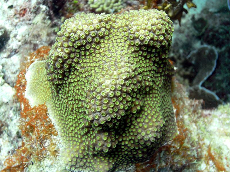 2011-09-10 14-13-35 Steven.JPG